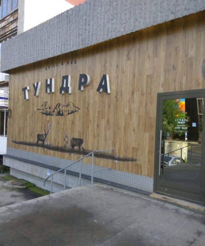 Тундра